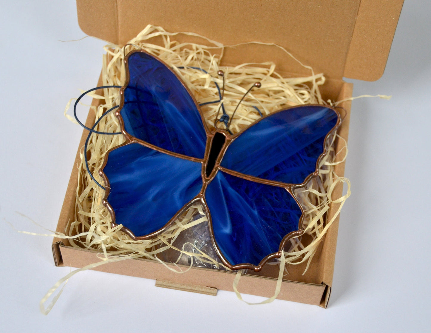Morpho Butterfly