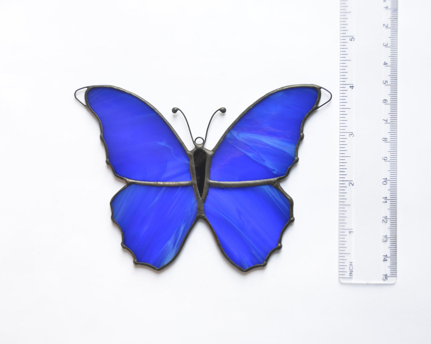 Morpho Butterfly