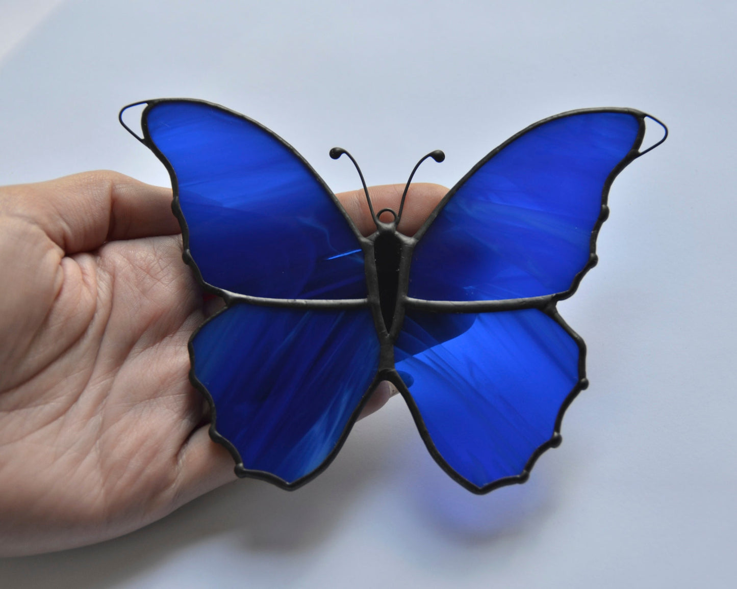 Morpho Butterfly