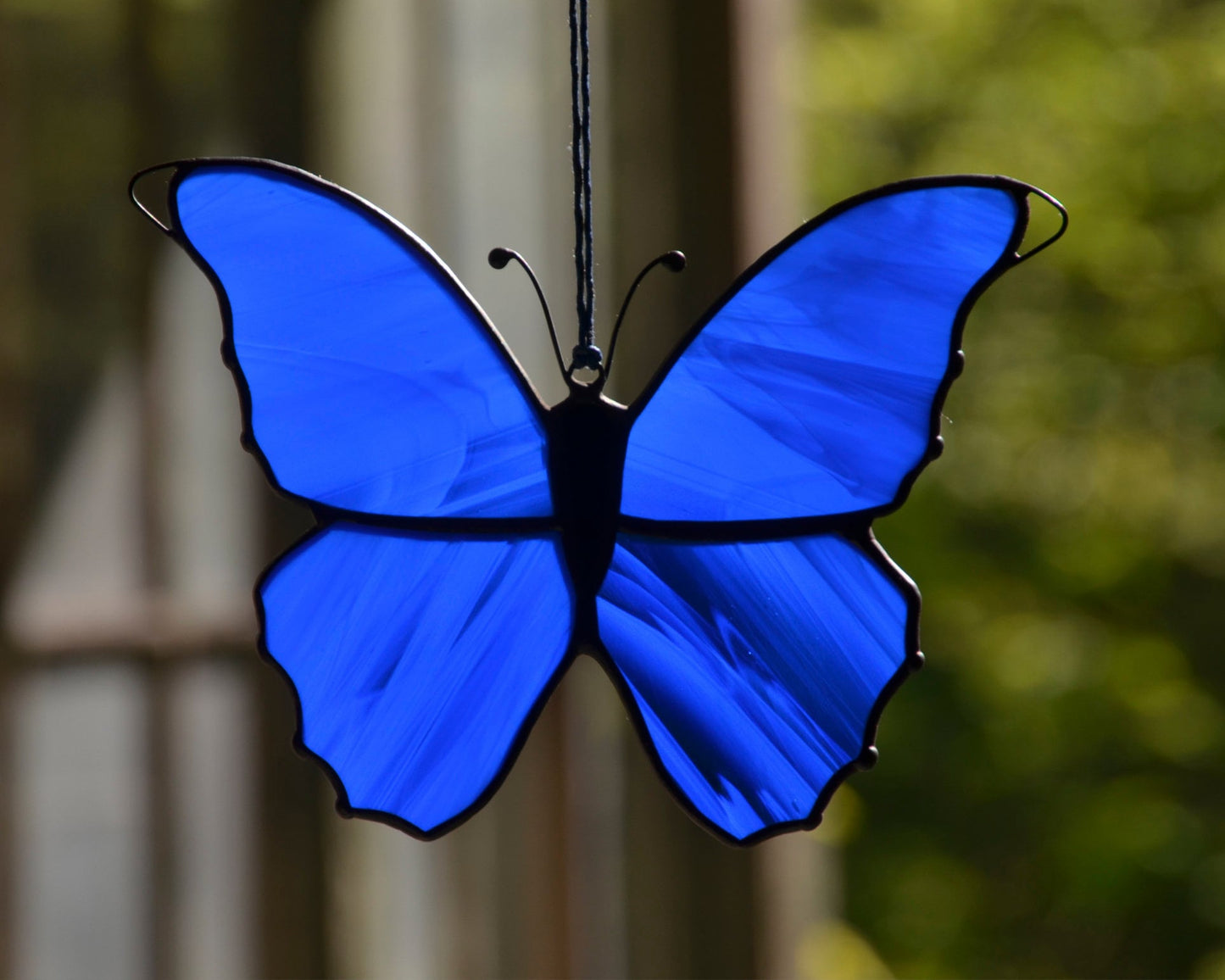 Morpho Butterfly